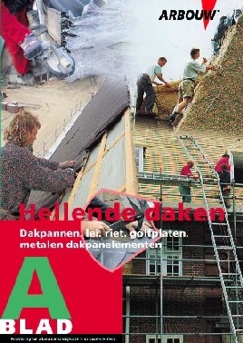A blad  werken op hellende daken (www.arbo.info)