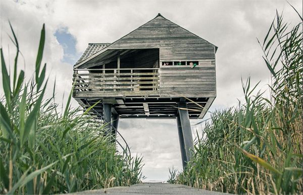 vogelkijkhut