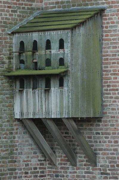duiventillen (kastelen in Nederland)